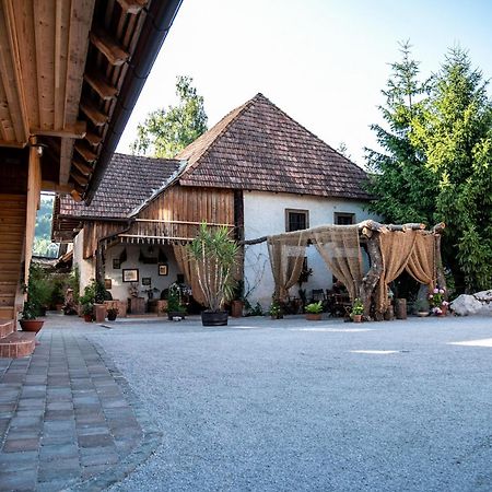 Resort Hisa Ida - Apartments With Hot Tub And Sauna Ivancna Gorica ภายนอก รูปภาพ